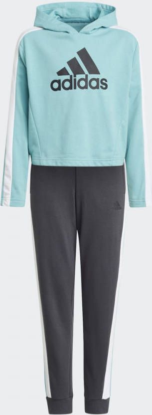Adidas Colorblock Crop Top Trainingspak Mint Ton/Multi/White