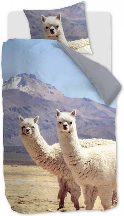 Ambiante Cusco Flanel Dekbedovertrek 1 persoons(140x200/220 Cm + 1 Sloop) Flanel Multi