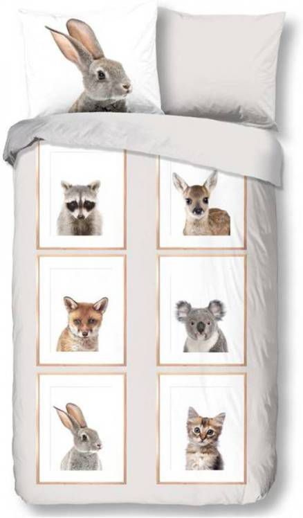 Good Morning Forest Dekbedovertrek 100% Katoen 1 persoons(140x200/220 Cm + 1 Sloop) 1 Stuk(60x70 Cm) Multi