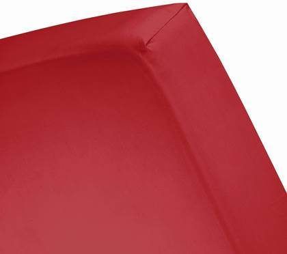 Cinderella Hoeslaken Jersey laken, in 90x200, 140x200 en andere maten te bestellen, 100% katoen, hoeslaken van jersey, geschikt voor matrassen en topmatras met elastiek(1 stuk )