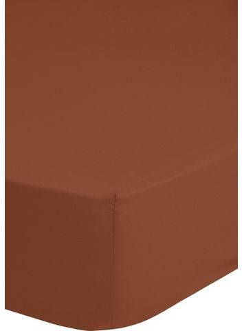 good morning Hoeslaken Renforcé elastisch rondom(1 stuk )