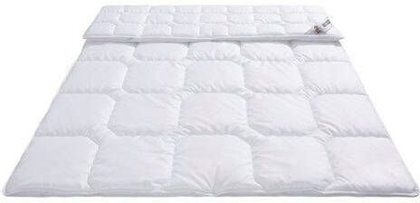 my home Synthetisch dekbed Fantasy eco dekbedden met duurzame vezel, in de afmetingen 135x200, 155x220, 200x200 en 200x220 en warm en als 4 seizoenen dekbed te bestellen 5 sterren favoriet! Warm