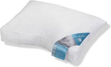 Vandyck Allergy free Hoofdkussen