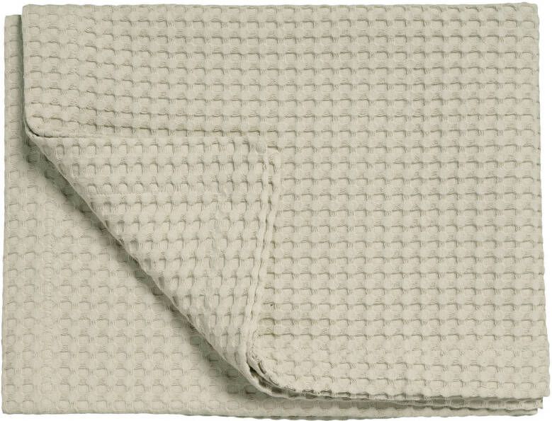 Vandyck Home 71 plaid met wafelstructuur